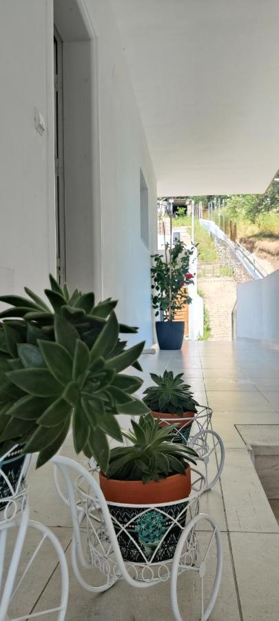 Kiperi Exclusive Hotel Parga Eksteriør billede